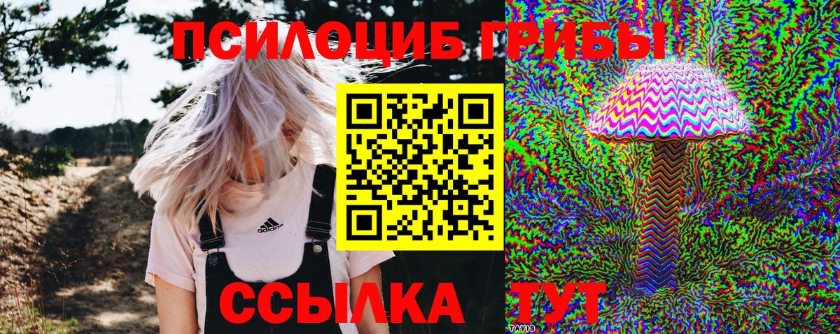 Тобольск  Псилоцибиновые грибы GOLDEN TEACHER  Вход с VPN 